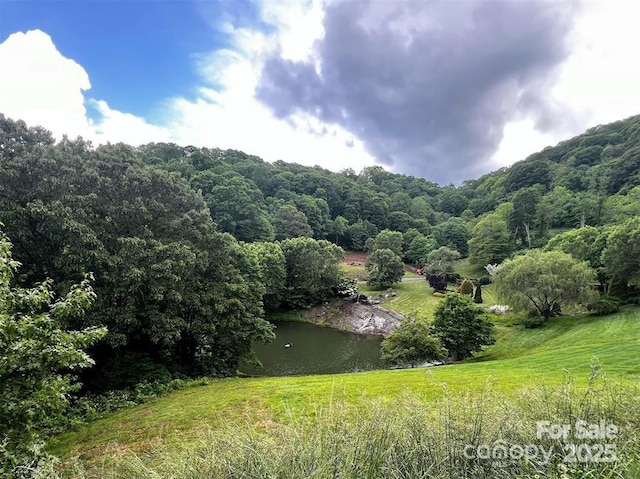 LOT31 Signature Row Blvd, Waynesville, NC 28785