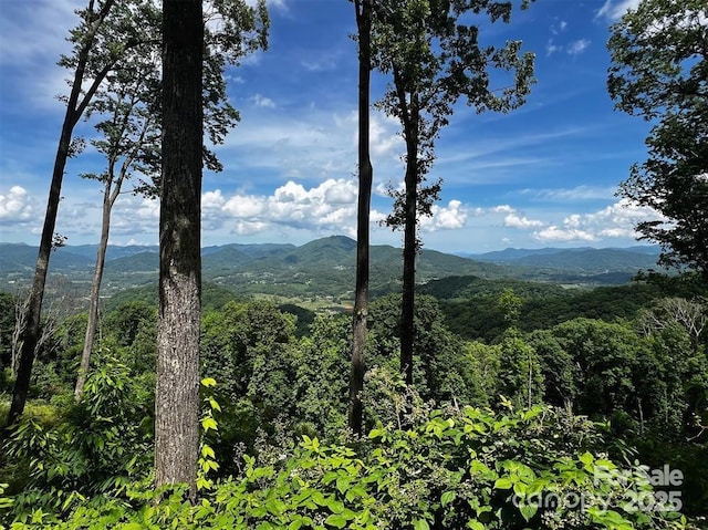 LOT31 Signature Row Blvd, Waynesville, NC 28785