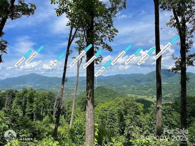 LOT31 Signature Row Blvd, Waynesville, NC 28785