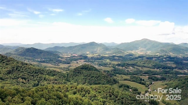 LOT31 Signature Row Blvd, Waynesville, NC 28785