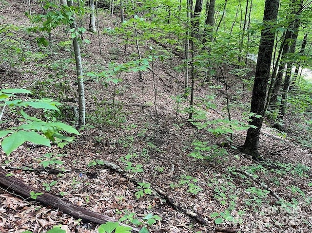 LOT31 Signature Row Blvd, Waynesville, NC 28785