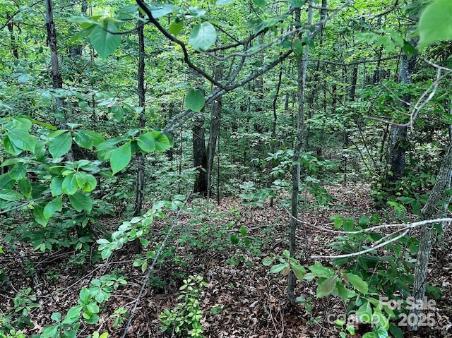 LOT31 Signature Row Blvd, Waynesville, NC 28785