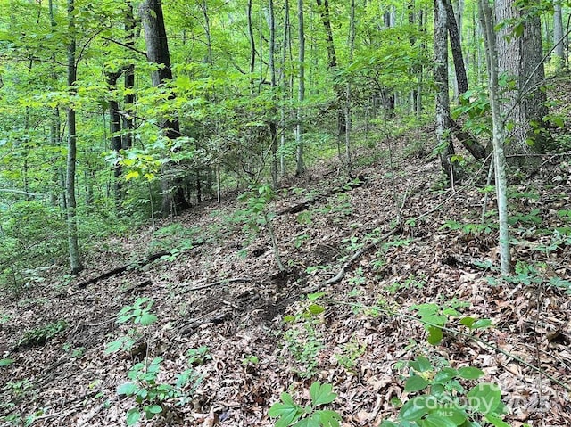 LOT31 Signature Row Blvd, Waynesville, NC 28785
