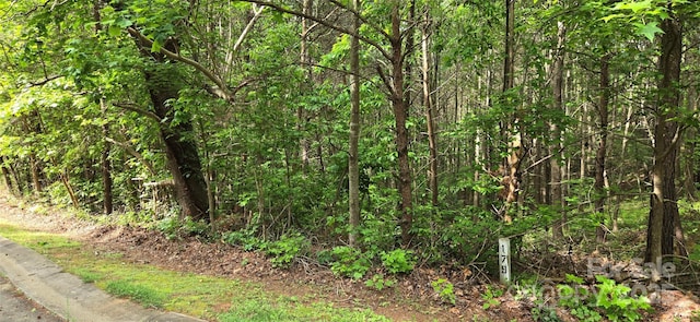 1590 Hawks Pointe Ln, Morganton, NC 28655