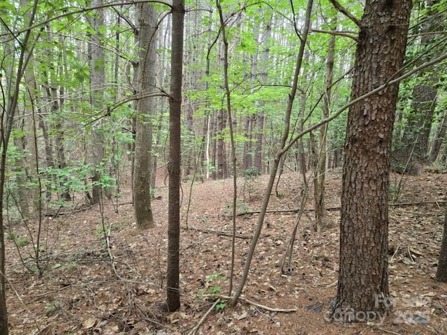 1590 Hawks Pointe Ln, Morganton, NC 28655