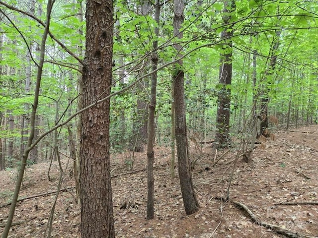 1590 Hawks Pointe Ln, Morganton, NC 28655