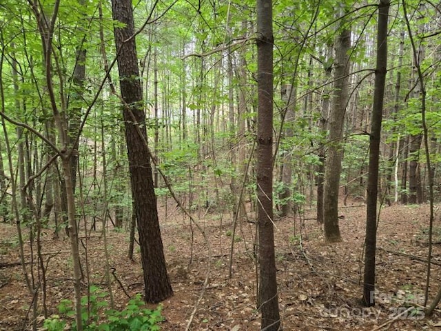 1590 Hawks Pointe Ln, Morganton, NC 28655