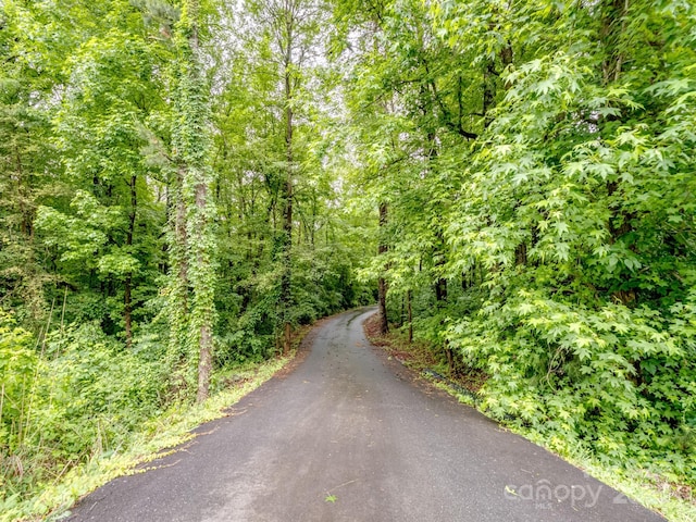 5369 Concord Rd, York, SC 29745 - view of street with a view of trees