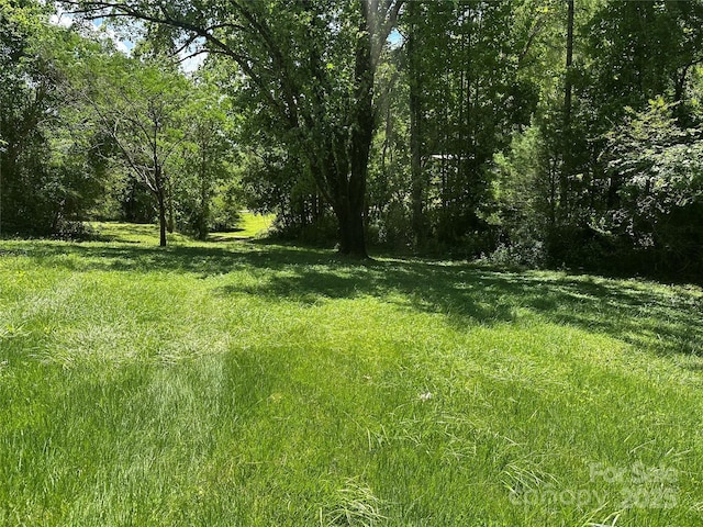 204 Long St, Marion, NC 28752 - photo 14
