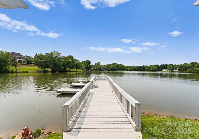 8813 Covey Rise Ct, Charlotte, NC 28226 - photo 47
