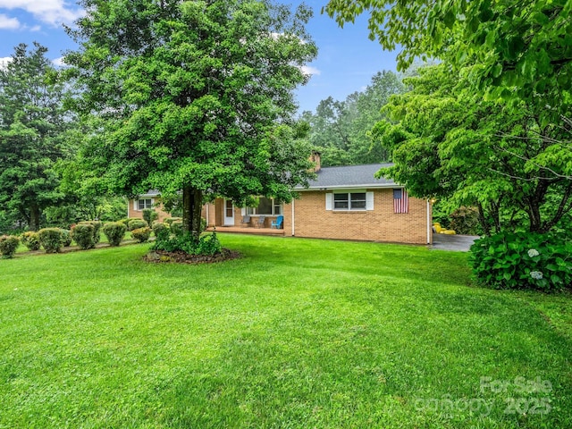 989 Mine Gap Rd, Zirconia, NC 28790 - view of grassy yard