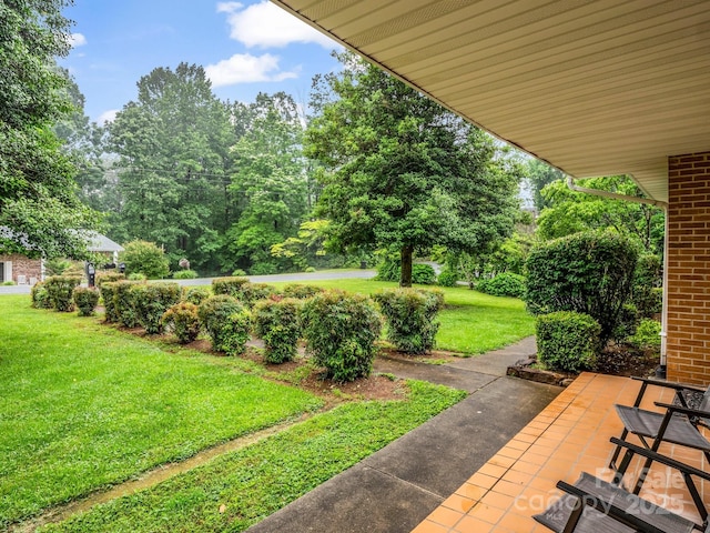 989 Mine Gap Rd, Zirconia, NC 28790 - view of green lawn with a patio area