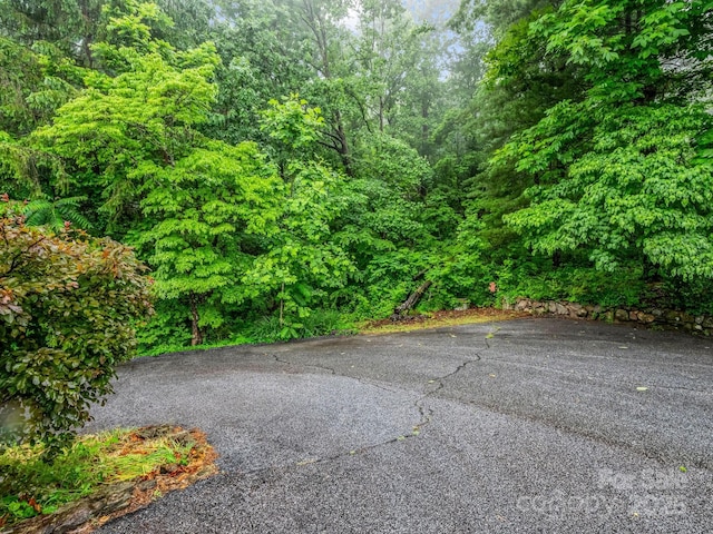 989 Mine Gap Rd, Zirconia, NC 28790 - view of patio / terrace with a forest view