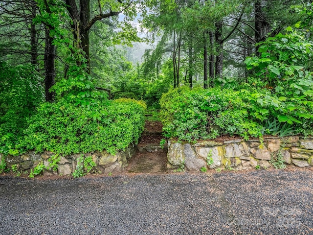 989 Mine Gap Rd, Zirconia, NC 28790 - view of yard