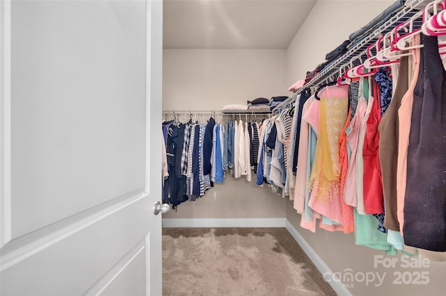 608 Latrobe Dr, Iron Station, NC 28080 - spacious closet with carpet floors
