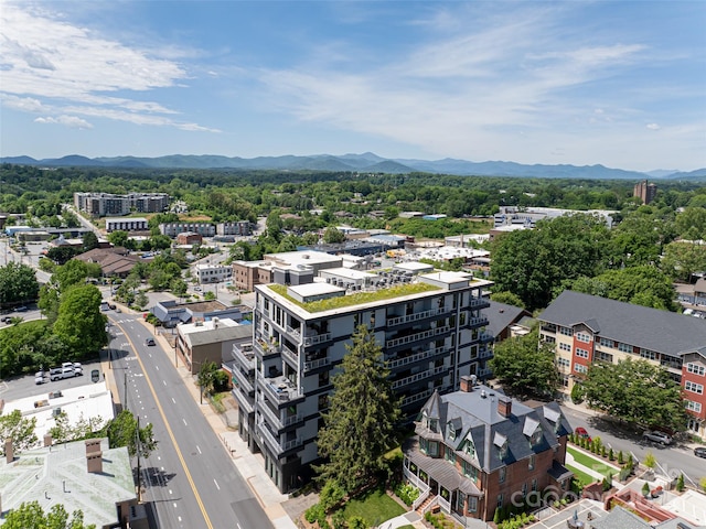 145 Biltmore Ave Unit 303, Asheville, NC 28801 - photo 35