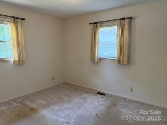 6018 Unionville Rd, Monroe, NC 28110 - empty room featuring plenty of natural light, carpet flooring, and baseboards
