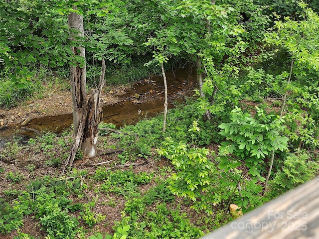 26 Balsam High Rd, Candler, NC 28715 - view of undeveloped land