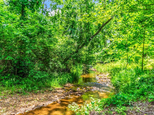 26 Balsam High Rd, Candler, NC 28715 - view of undeveloped land