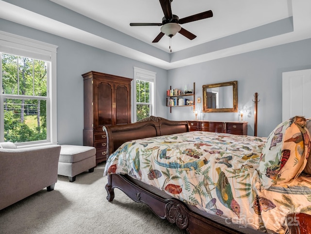26 Balsam High Rd, Candler, NC 28715 - bedroom with carpet floors, multiple windows, a tray ceiling, and ceiling fan