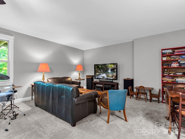 26 Balsam High Rd, Candler, NC 28715 - living area with carpet and baseboards