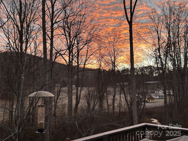 26 Balsam High Rd, Biltmore Lake, NC 28715 - water view