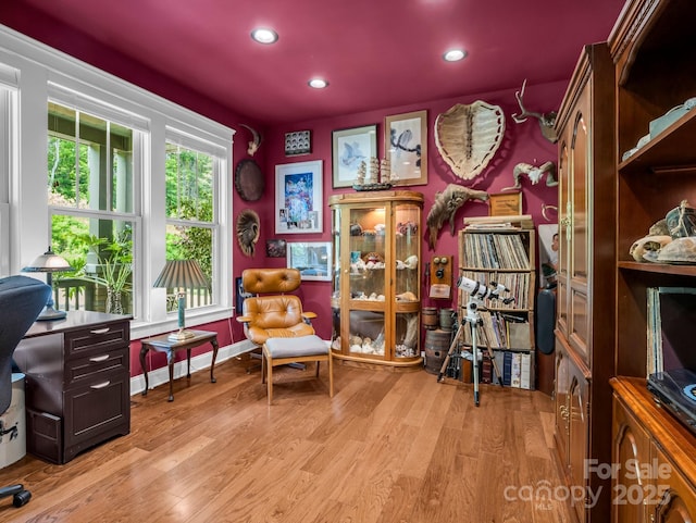 26 Balsam High Rd, Biltmore Lake, NC 28715 - home office with light wood-type flooring and recessed lighting