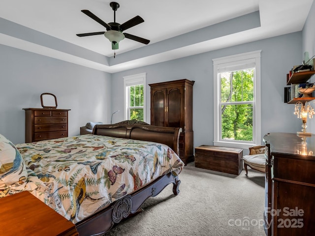 26 Balsam High Rd, Biltmore Lake, NC 28715 - bedroom featuring carpet flooring, ceiling fan, and a raised ceiling