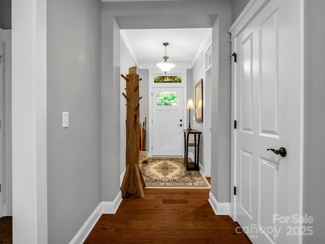 26 Balsam High Rd, Biltmore Lake, NC 28715 - doorway featuring ornamental molding and dark wood finished floors