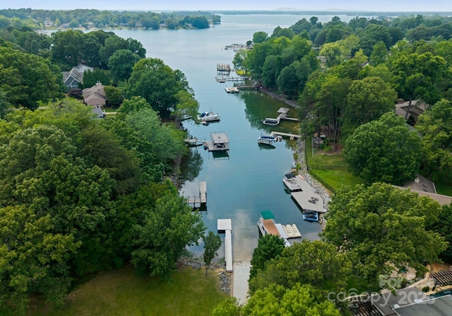 20000 Schooner Dr, Cornelius, NC 28031 - drone / aerial view of a large body of water