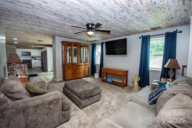 164 Vance Farm Dr, Statesville, NC 28625 - photo 32