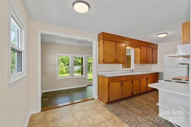 146 Swannanoa Ave, Asheville, NC 28806 - photo 11