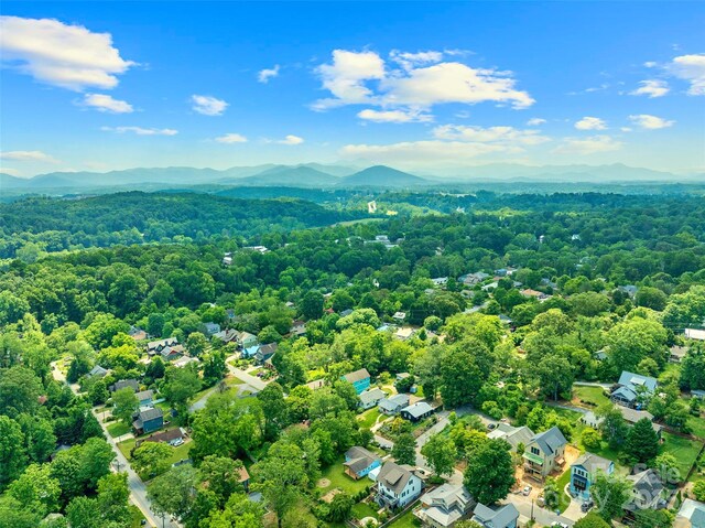 146 Swannanoa Ave, Asheville, NC 28806 - photo 30