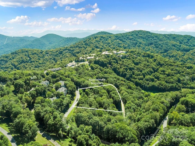 734 Oak Ridge Lane 734 & 735, Mars Hill, NC 28754 - photo 1