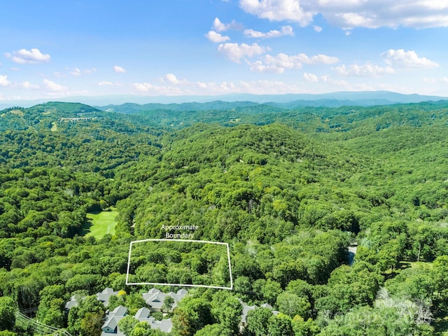 734 Oak Ridge Lane 734 & 735, Mars Hill, NC 28754 - photo 2