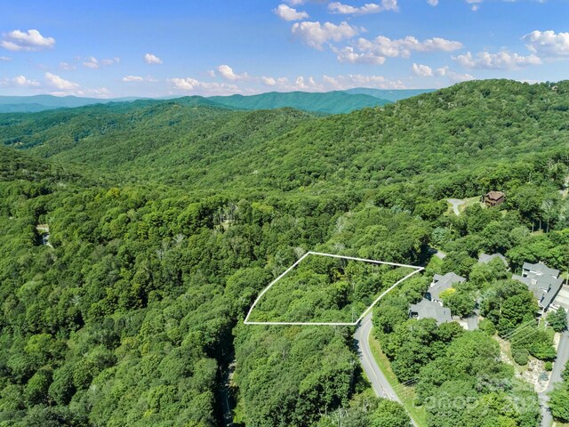 734 Oak Ridge Lane 734 & 735, Mars Hill, NC 28754 - photo 3