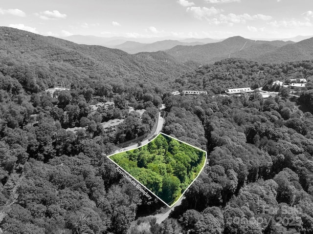 734 Oak Ridge Lane 734 & 735, Mars Hill, NC 28754 - photo 11