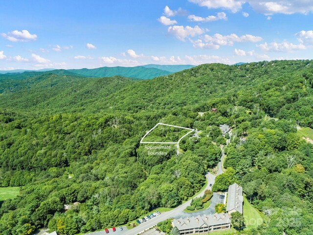734 Oak Ridge Lane 734 & 735, Mars Hill, NC 28754 - photo 13