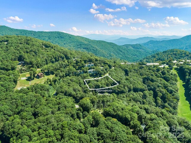 734 Oak Ridge Lane 734 & 735, Mars Hill, NC 28754 - photo 16