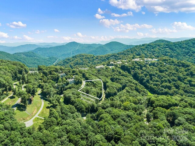 734 Oak Ridge Lane 734 & 735, Mars Hill, NC 28754 - photo 17