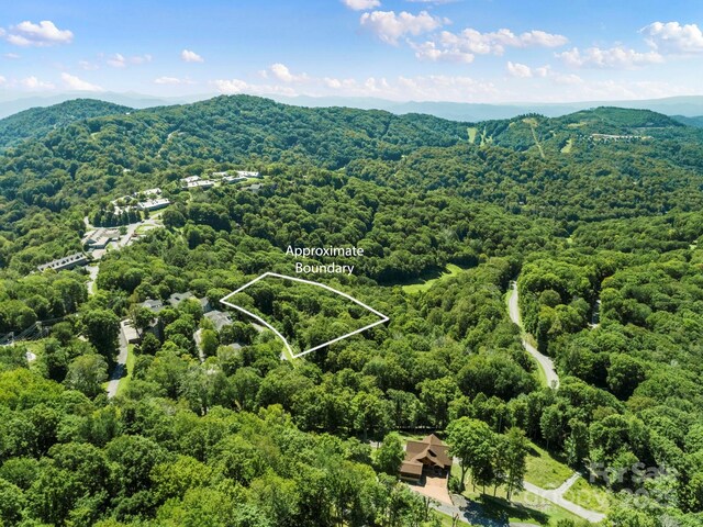 734 Oak Ridge Lane 734 & 735, Mars Hill, NC 28754 - photo 18