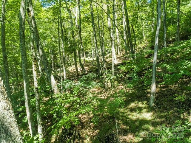 734 Oak Ridge Lane 734 & 735, Mars Hill, NC 28754 - photo 23