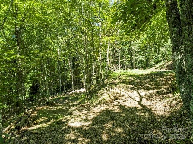 734 Oak Ridge Lane 734 & 735, Mars Hill, NC 28754 - photo 24