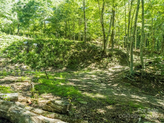734 Oak Ridge Lane 734 & 735, Mars Hill, NC 28754 - photo 25
