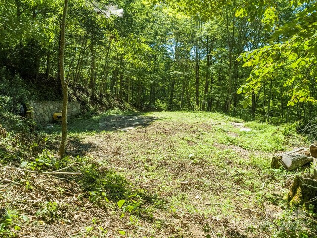 734 Oak Ridge Lane 734 & 735, Mars Hill, NC 28754 - photo 26