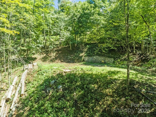 734 Oak Ridge Lane 734 & 735, Mars Hill, NC 28754 - photo 27