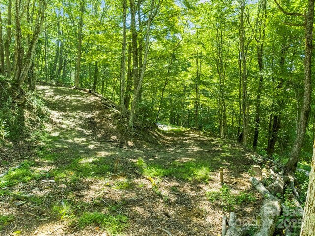 734 Oak Ridge Lane 734 & 735, Mars Hill, NC 28754 - photo 28