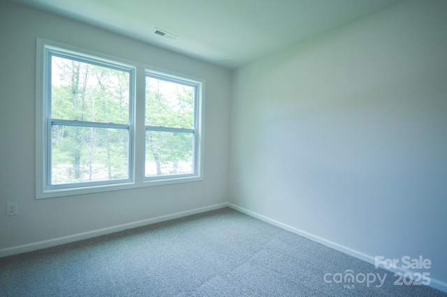 334 Creekview Rd, Hendersonville, NC 28792 - photo 22