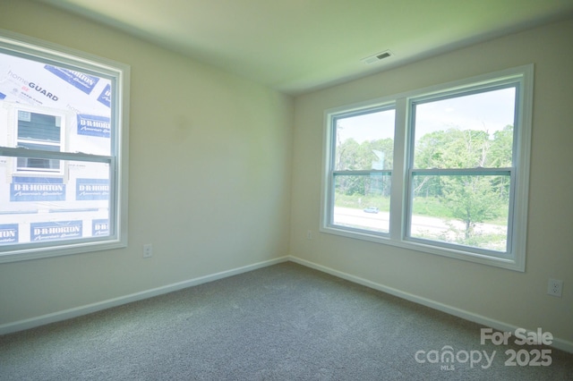 334 Creekview Rd, Hendersonville, NC 28792 - photo 24