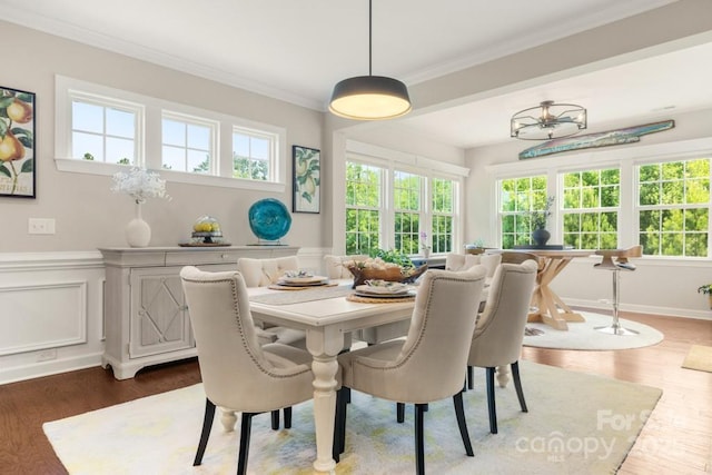 1467 Tranquility Blvd, Lancaster, SC 29720 - dining area featuring ornamental molding, wood finished floors, wainscoting, and a decorative wall